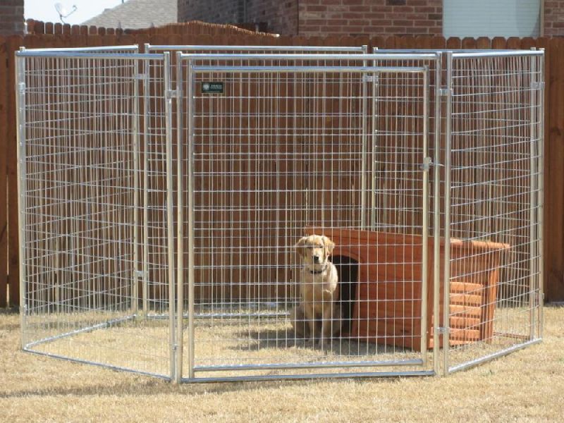 invisible dog fence