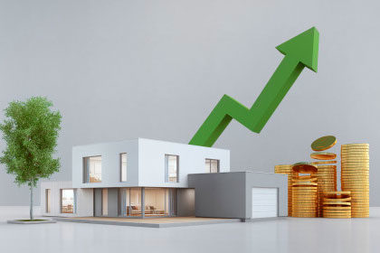 Real Estate Business