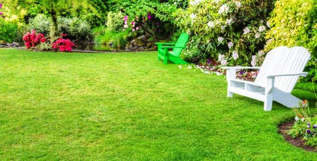 lawn green